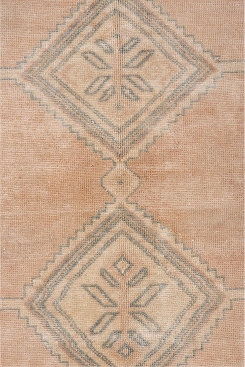 Antique Malayer Area Rug (4' x 6')
